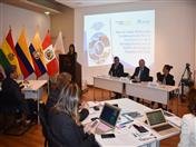 Inauguración del Taller de trabajo técnico para la elaboración del Plan de Implementación de la Estrategia Andina para la Gestión del Riesgo de Desastres 2017-2030.
